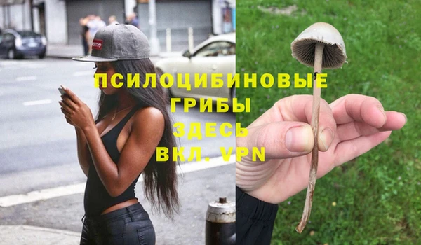 гашиш Кулебаки